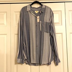 Anthropology top new